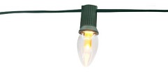 Wire Shown with Incandescent Bulb