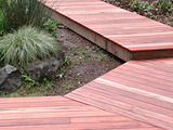 Tigerwood Decking