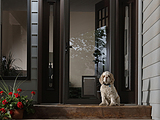 Larson Elegant Selection Pet Storm Door