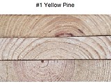 Yellow Pine #1